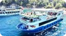 Custom built/Eigenbau Glass Bottom Daily Boat ECO - 