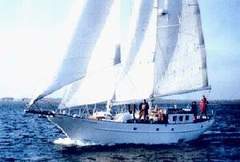 Schoner 17 m (sailboat)