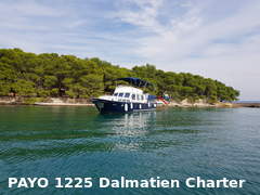 Payo 1225 Fly Diesel (powerboat)